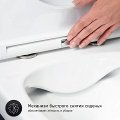 Инсталляция GROHE Rapid SL 38775001, 4 в 1 с кнопкой смыв + Унитаз подвесной GROHE Euro Ceramic, 39206000