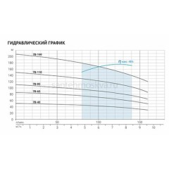 Скважинный насос Aquario ASP(T)7B-110-100BE